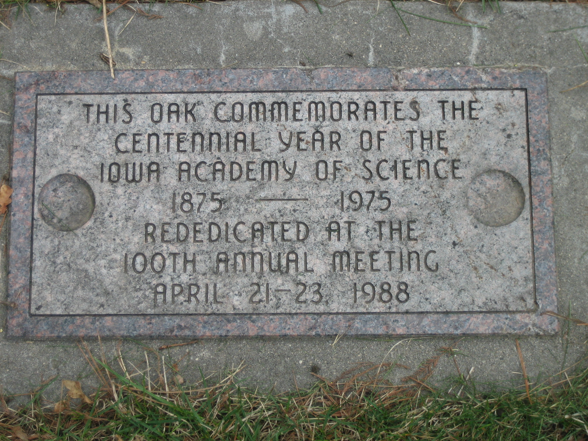 closeup photo